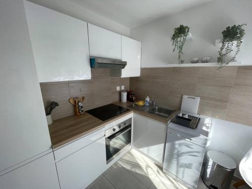 une petite cuisine avec des armoires blanches et un évier dans l'établissement Esprit PALMA, à Mulhouse