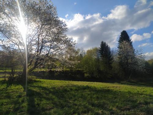 a tree in a field with the sun in the sky at Brunarica Biopark -Log house Biopark in Grosuplje