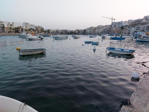 Φυσικό τοπίο κοντά σε αυτό το διαμέρισμα