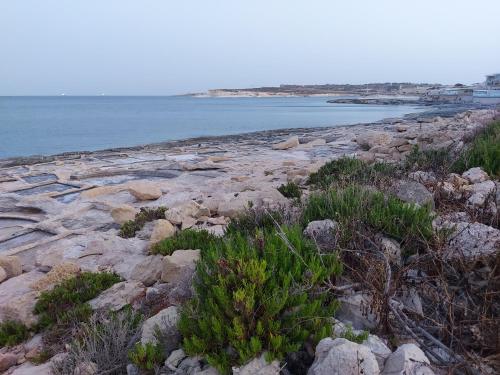 Φυσικό τοπίο κοντά σε αυτό το διαμέρισμα