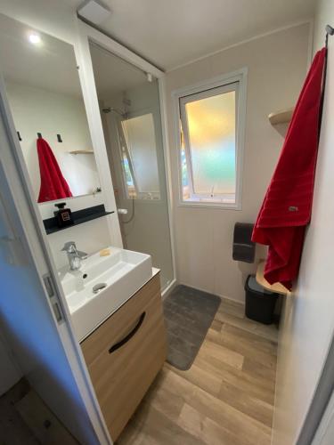 a bathroom with a sink and a mirror at Mobil home de charme in Fréjus