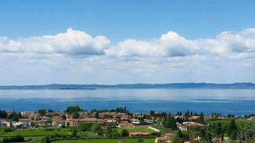 Cà Frisonai