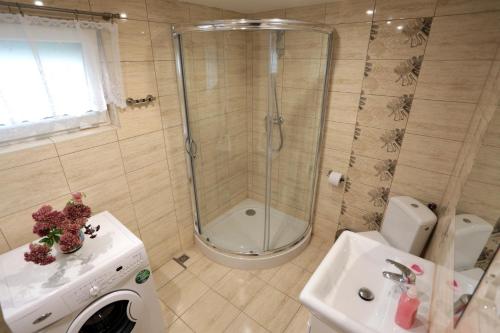 a bathroom with a shower and a sink and a washing machine at Agroturystyka Nad Tanwią in Biszcza