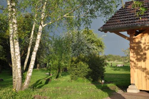 a yard with trees and a building and a field at Villa Osterloff in Oderberg