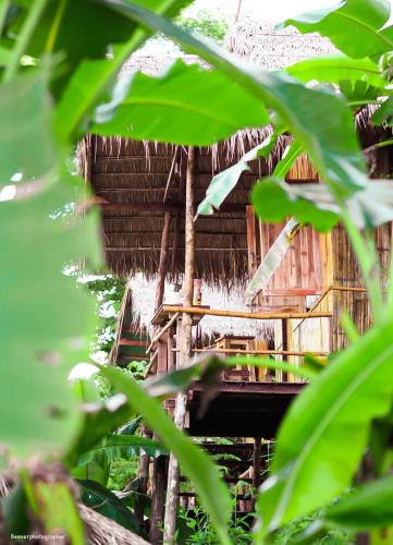a bamboo hut with a thatched roof behind some leaves at Imsuk Bo Klua in Ban Pha Khap
