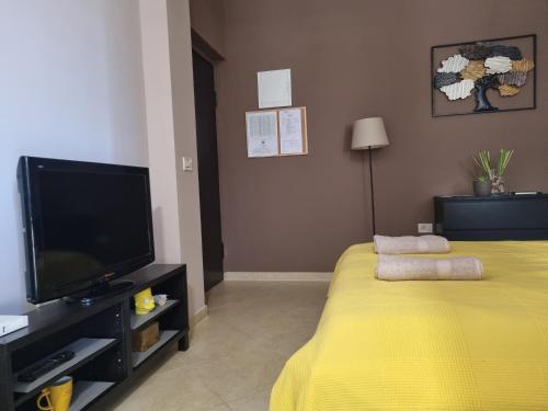 Studio apartment Gemelli