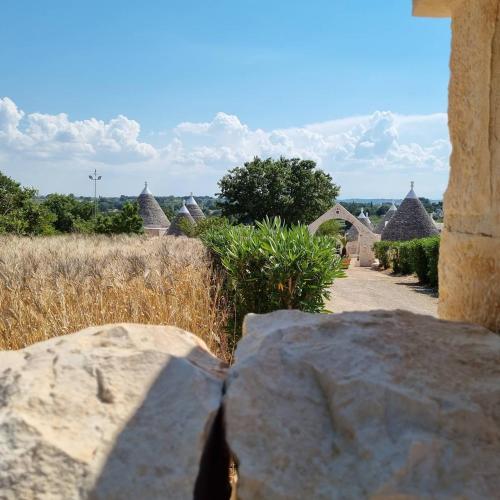 a view of a path with some rocks and grass at Trulli Vulés in Ostuni