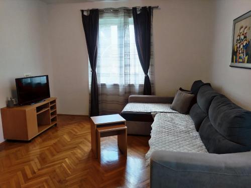 a living room with a couch and a television at Apartment Violeta 2 in Funtana