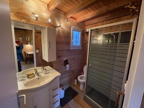 a bathroom with a toilet and a sink and a shower at Le Chalet de Goncelin in Goncelin