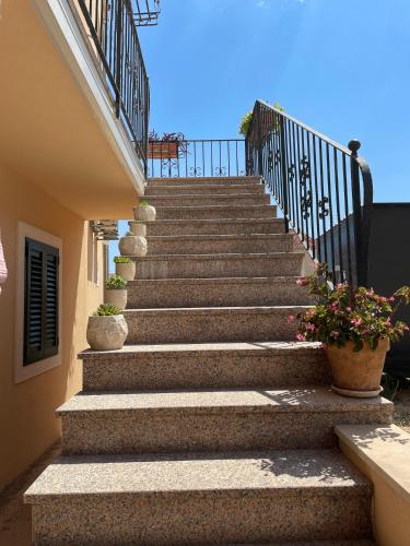 a set of stairs with potted plants on them at Apartments Panda in Bol