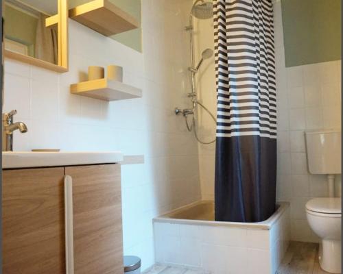 a bathroom with a shower curtain and a toilet at Ferienwohnungen Schenk Schmitz in Bad Bertrich