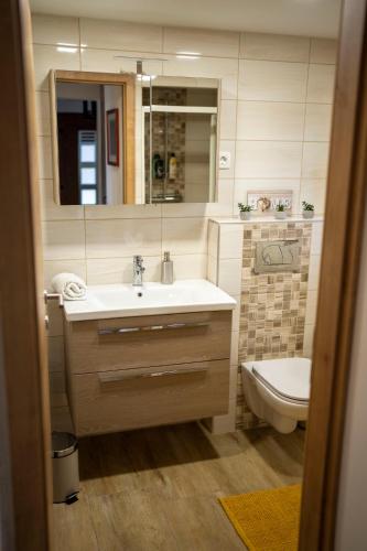 a bathroom with a sink and a toilet and a mirror at Holiday house Aronija in Šmarje pri Jelšah