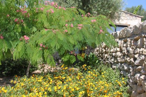 a garden with flowers and a stone wall at Agroturisme Es Racó De Maria in Maria de la Salut