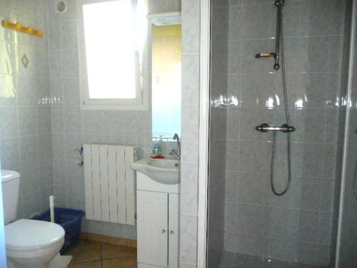 a bathroom with a shower and a toilet and a sink at 15mn de Cannes, Villa la Soleiade , Gite ,Lodge , type T2, clim, piscine, parking au Lac de Saint-Cassien VAR in Montauroux