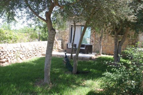 a bird sitting between two trees in a yard at Agroturisme Es Racó De Maria in Maria de la Salut