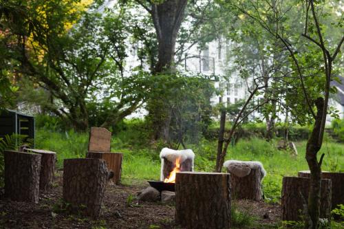 a fire pit in the middle of a forest at Home Farm Oban in Oban