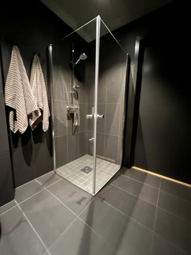 a shower with a glass door in a bathroom at Snøya Lodge in Hemsedal