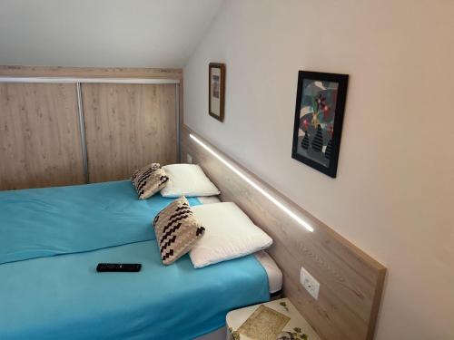 een slaapkamer met 2 aparte bedden in een kamer bij Apartments Vila Vino in Sveta Nedelja