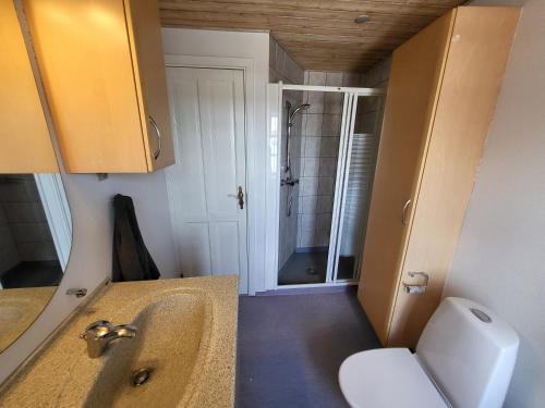 a bathroom with a sink and a toilet and a shower at City Harbour House in Sønderborg