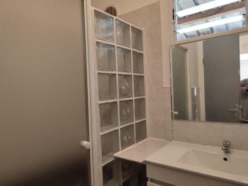 La salle de bains est pourvue d'un lavabo et d'un miroir. dans l'établissement Ti kaz mignon 974, à Saint-Louis