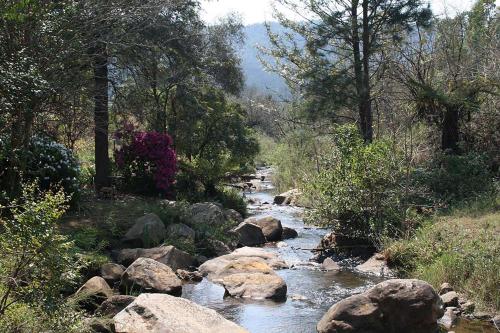 a stream of water with rocks and trees at Sabie Star in Sabie