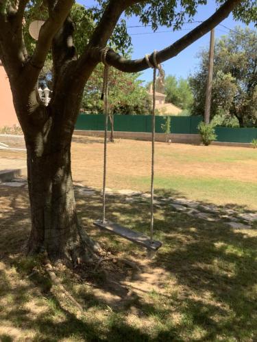 a tree with two swings in a park at Un séjour entre Nîmes et Montpellier in Souvignargues