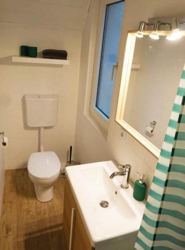 a bathroom with a toilet and a sink and a mirror at Ferienwohnungen Schenk Schmitz in Bad Bertrich