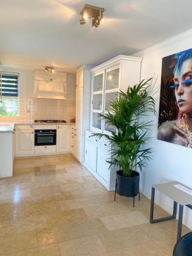 a kitchen with white cabinets and a potted plant at Water Villa Minaro Vinkeveen in Vinkeveen