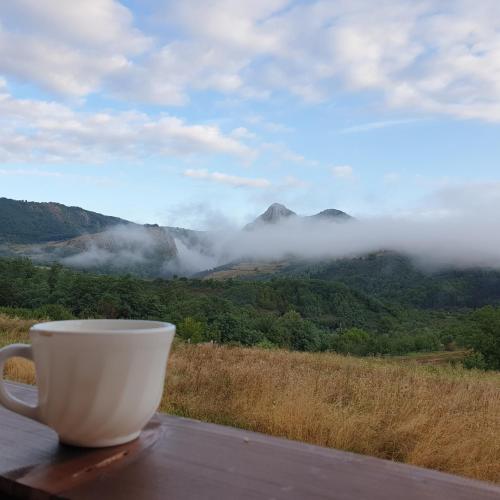 a coffee cup sitting on a table with a view of a mountain at Popas 8 Odăi in Poiana Aiudului