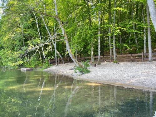 a body of water with trees in the background at Domek Pod Lasem 45,1 Ostoja Bukowo in Borowy Młyn