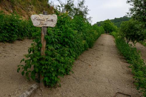 a sign on the side of a dirt road at Agriturismo le Fontane - Lago di Bolsena in Grotte di Castro