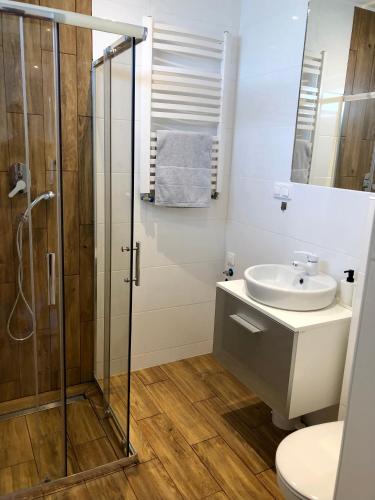 a bathroom with a shower and a sink and a toilet at Mazurski Dom in Pisz