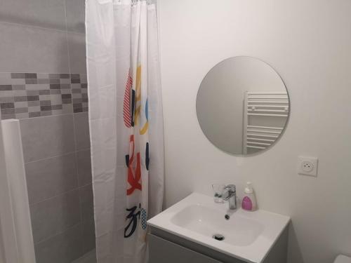 a bathroom with a sink and a mirror and a shower at Le Grenadier in Saint-Mitre-les-Remparts