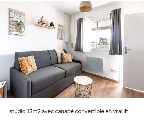 a living room with a couch and a window at STUDIO BISCARROSSE PLAGE in Biscarrosse-Plage