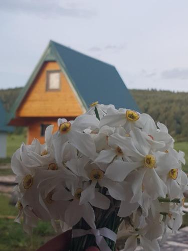 Fotografie z fotogalerie ubytování BUNGALOVI TIM v destinaci Žabljak
