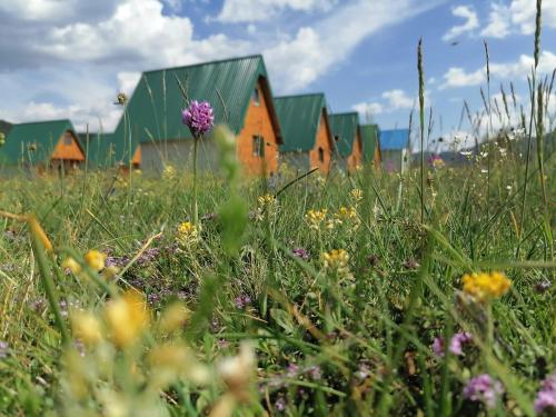 Zahrada ubytování BUNGALOVI TIM