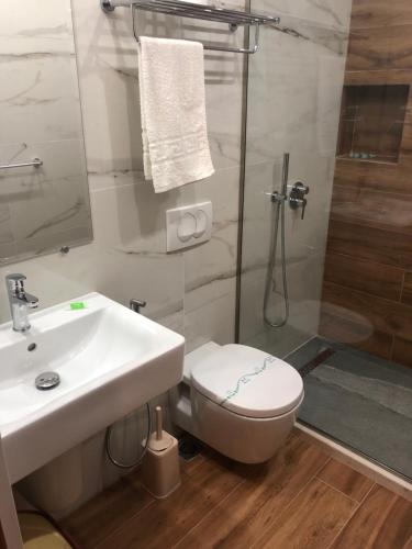 a bathroom with a toilet and a sink and a shower at HOTEL Apartments ARDO in Golem