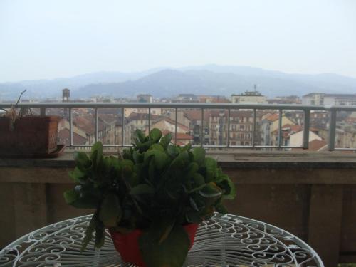 a bunch of green bananas sitting on top of a table at Gianduja B&B in Turin