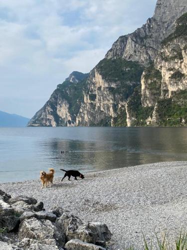 Paesaggio naturale nelle vicinanze dell'appartamento