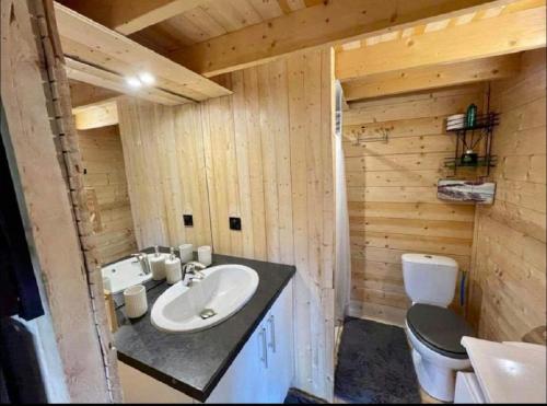 a bathroom with a sink and a toilet at Cabane Pomme de pin in Le Porge