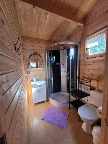 Kúpeľňa v ubytovaní Camping Family