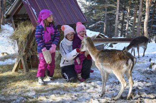 three children are petting a deer in the snow at Aurora Resort & Spa in Berovo