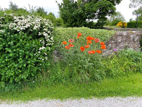 a garden with red and white flowers next to a stone wall at Deveron Valley Cottages in Marnoch