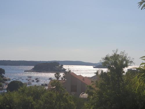 a view of a body of water with boats in it at Apartments & Rooms Zlatica Hvar in Hvar