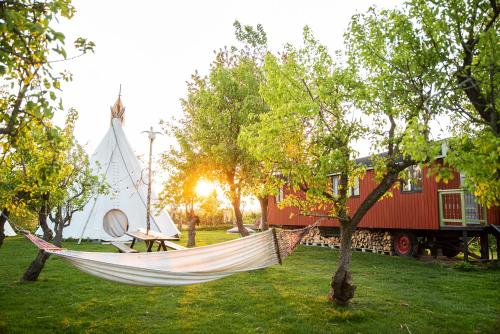 a hammock in a yard next to a church at Slapen tussen de schapen in pipowagen de Ome Jan in Zennewijnen