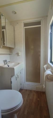 a bathroom with a shower and a toilet and a sink at Zacisze nad Sanem 129 a in Załuż