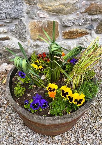 a pot filled with flowers in front of a stone wall at Deveron Valley Cottages in Marnoch