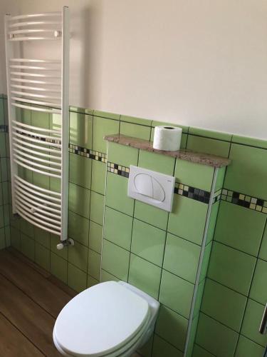 PodgradにあるDenoの緑のタイル張りの壁、トイレ付きのバスルーム