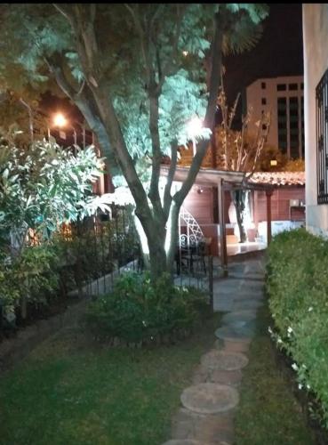 a tree in the middle of a yard at night at Hotel Boutique Spa Villa de Sant in Quito