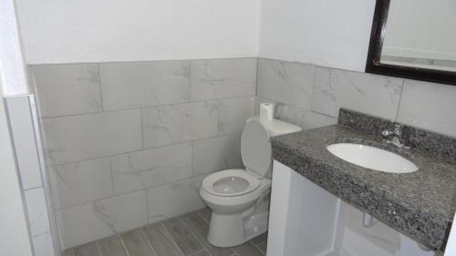 a white bathroom with a toilet and a sink at ECONOMY INN in Brownfield
